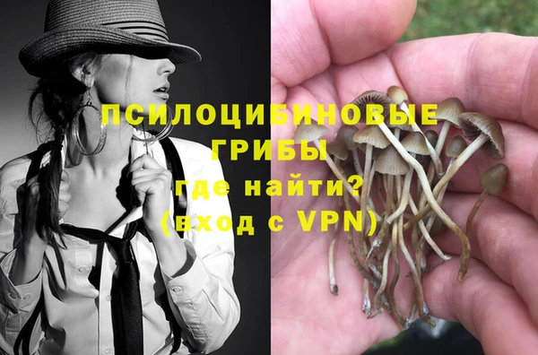 тгк Майский